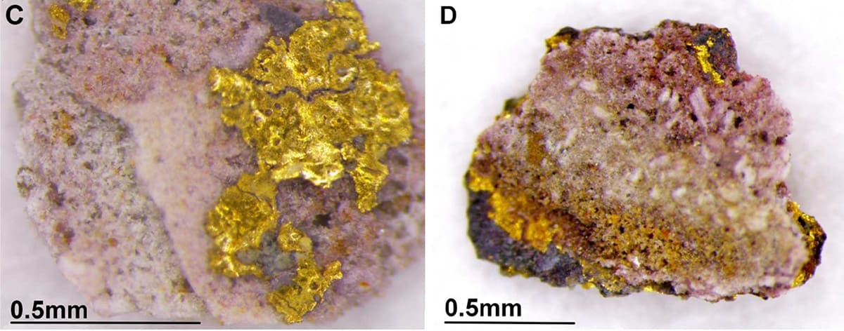 An image showing curling, pitted flakes of gold leaf over a plaster surface, and a cross-section of the same material showing layers of purplish discolouration as well as gold