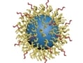 Hierarchical polyethylene glycol (PEG) structure on a nanoparticle surface for drug delivery. Courtesy ACS Nano