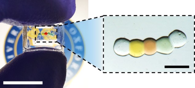 Hydrogel droplet battery Hydrogel droplet battery