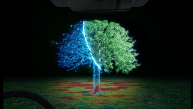 HADAR image of a tree HADAR image of a tree