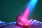 Luminescence