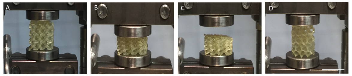 Shape-recovery properties
